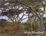 Wilderness Safaris
