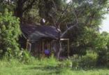 Wilderness Safaris