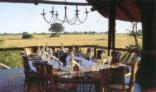Wilderness Safaris