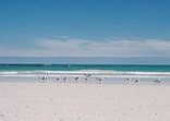 Pearly Beach