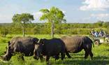 MalaMala Game Reserve