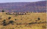 Mgungundlovu