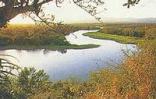 Mkuze Game Reserve Day Walks