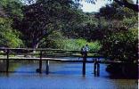 Amanzimtoti