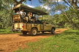 Bonamanzi Game Park - Game Drive