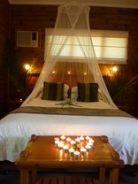 Bonamanzi Game Park - Honeymoon Tree House