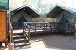 Mantuma Camp - Mkuze Game Reserve - 4-Bed Safari Tent