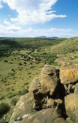 Mountain Zebra National Park Activities