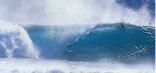 Surfing in East London