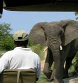 Ezulwini Game Lodges