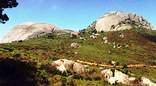 History of Paarl