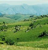 Game & Nature Reserves in Swaziland