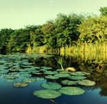 Game & Nature Reserves in Swaziland