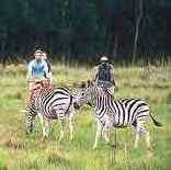 Game & Nature Reserves in Swaziland