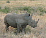 Pilanesberg Game Reserve