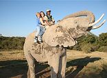 Greater Addo Area