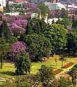 City of Harare