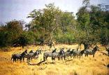 Rustenburg Nature Reserve