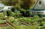 Cleopatra Mountain Farmhouse