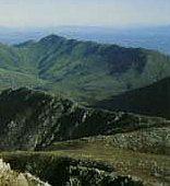 Boosmansbos Wilderness Area