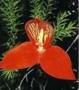 Cape Town - Nature Reserves & Parks