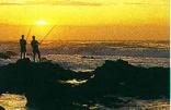St Lucia Fishing