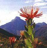 Swellendam Hiking Trail