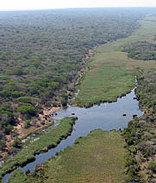 Tembe Elephant Lodge