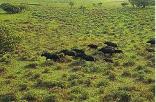 iSimangaliso Wetland Park
