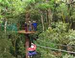 Canopy Tours