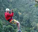 Canopy Tours