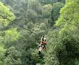 Canopy Tours