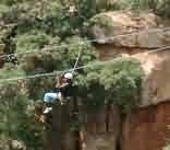 Canopy Tours