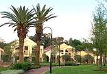 The Brightwater Commons