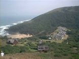 Club Wild Coast
