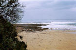 Club Wild Coast