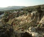 Vryheid