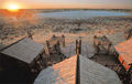 Bitterpan Dune Camp - Kgalagadi Park