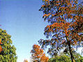 National Zoological Gardens