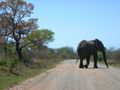 Kruger Park
