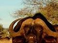 Mokala National Park