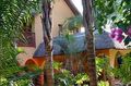 Bohemian Rhapsody Guesthouse