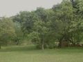 Olifantspoort Bush Camp & Caravan Park