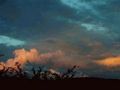 Olifantspoort Bush Camp & Caravan Park