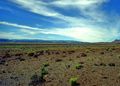 Tankwa Karoo National Park
