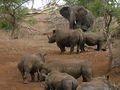 Rhino River Lodge