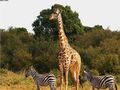 Kruger Park Wilderness Trails