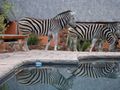 Blyde River Canyon Lodge