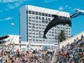 Port Elizabeth
