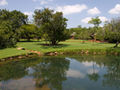 Kingfishers Trout Farm